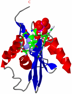 Image NMR Structure - model 1, sites