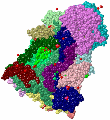 Image Asym./Biol. Unit