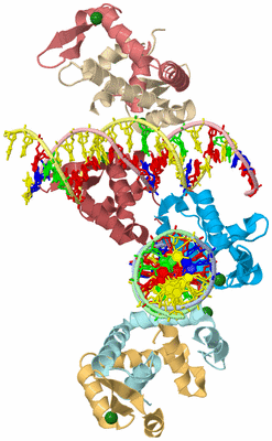 Image Asym./Biol. Unit