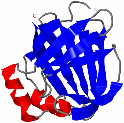 Image NMR Structure - model 1