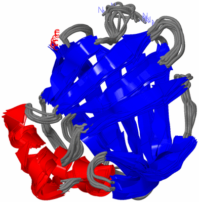 Image NMR Structure - all models