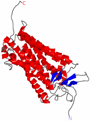 Image Theoretical Model