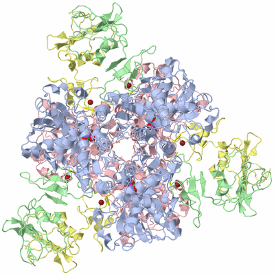 Image Biological Unit 1