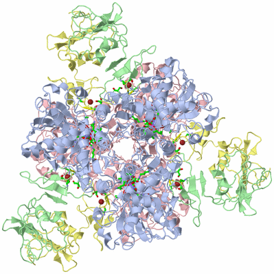 Image Biol. Unit 1 - sites