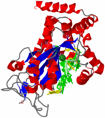 Image Asym./Biol. Unit