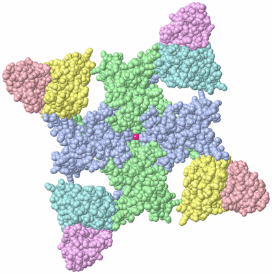 Image Biological Unit 1