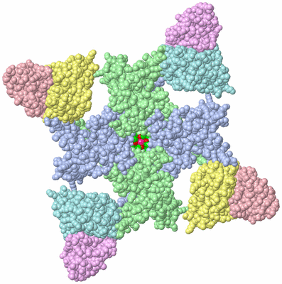 Image Biol. Unit 1 - sites