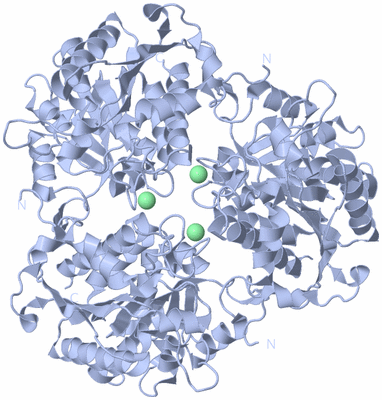 Image Biological Unit 2