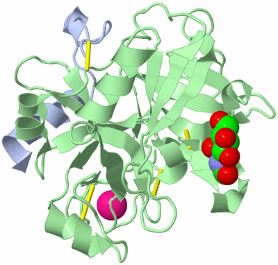 Image Biological Unit 1