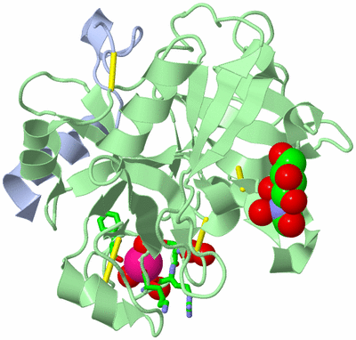 Image Biol. Unit 1 - sites