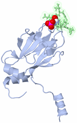 Image NMR Structure - model 1