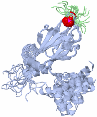 Image NMR Structure - all models