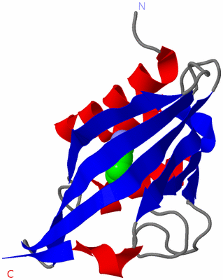 Image Asymmetric Unit