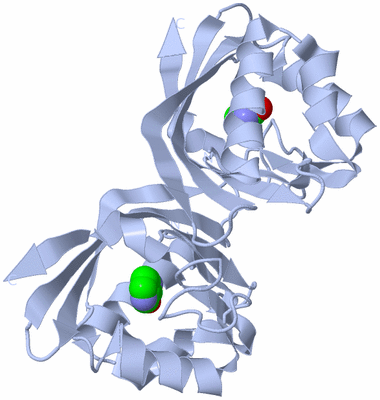 Image Biological Unit 1