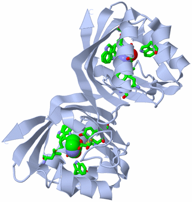 Image Biol. Unit 1 - sites