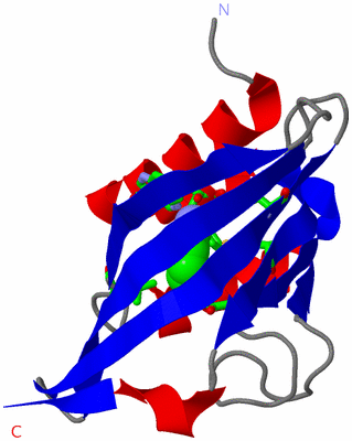 Image Asym. Unit - sites