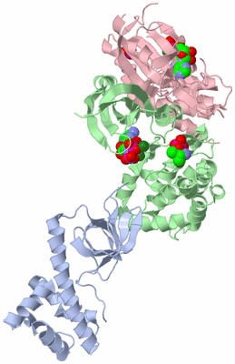 Image Asym./Biol. Unit