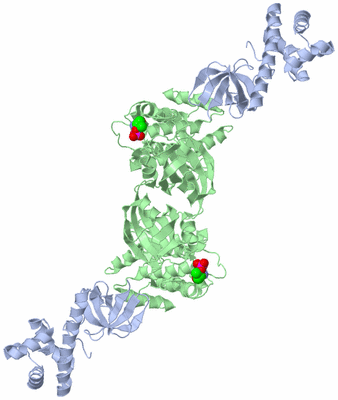 Image Biological Unit 1