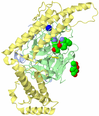 Image Biological Unit 1