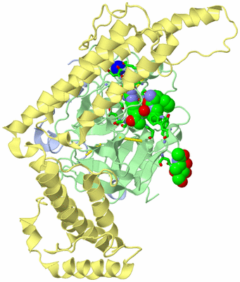 Image Biol. Unit 1 - sites