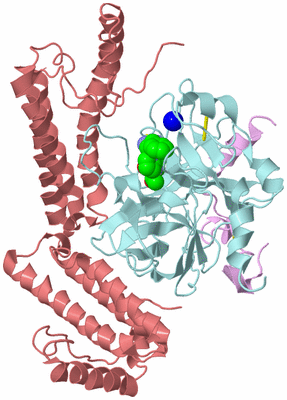 Image Biological Unit 2