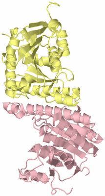 Image Biological Unit 3