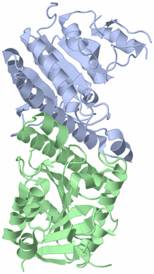 Image Biological Unit 4