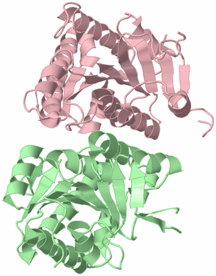 Image Biological Unit 5