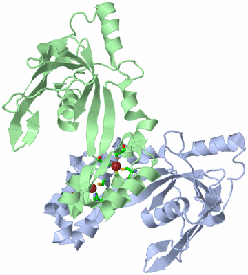 Image Asym. Unit - sites