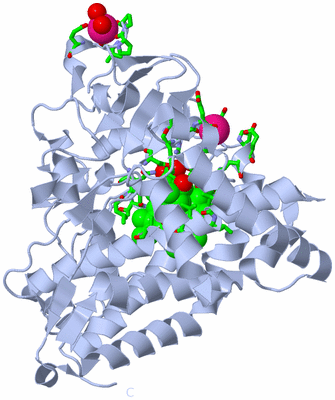 Image Biol. Unit 1 - sites