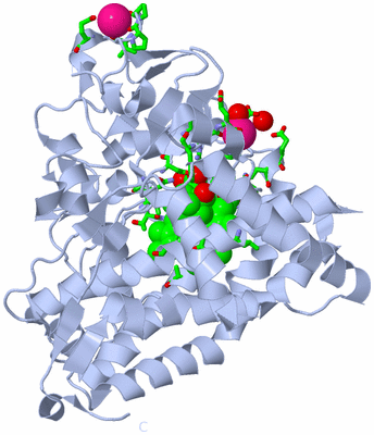 Image Biol. Unit 1 - sites