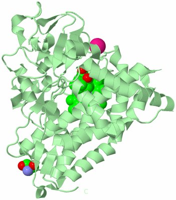 Image Biological Unit 2