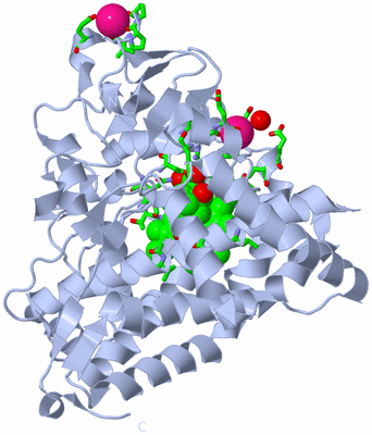 Image Biol. Unit 1 - sites