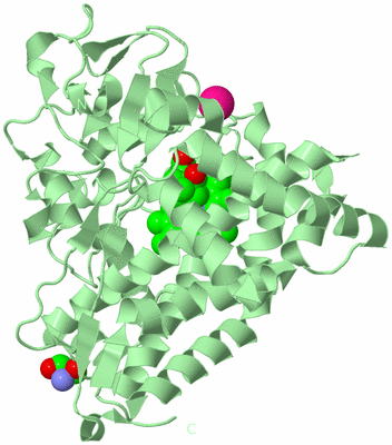 Image Biological Unit 2