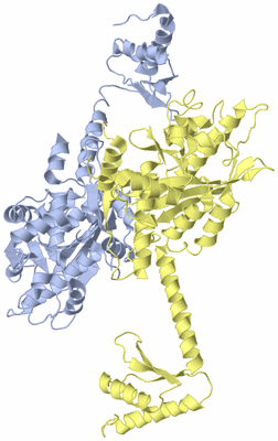 Image Biological Unit 1