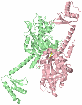 Image Biological Unit 2