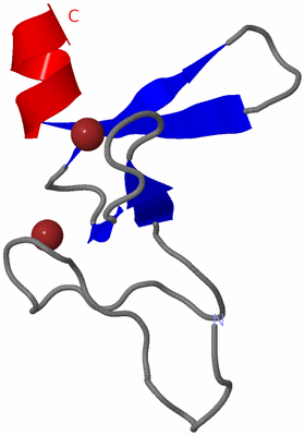 Image NMR Structure - model 1