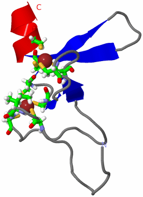 Image NMR Structure - model 1, sites