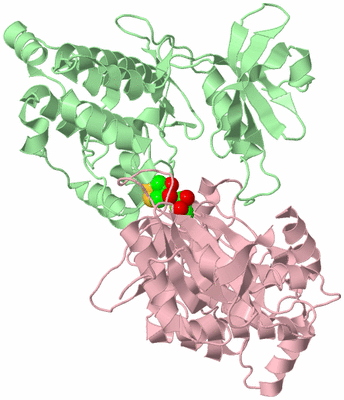 Image Biological Unit 2