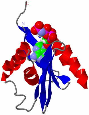 Image NMR Structure - model 1