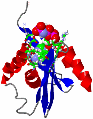 Image NMR Structure - model 1, sites