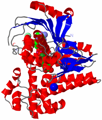 Image Asym./Biol. Unit