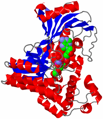 Image Asym./Biol. Unit