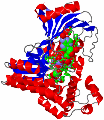 Image Asym./Biol. Unit - sites