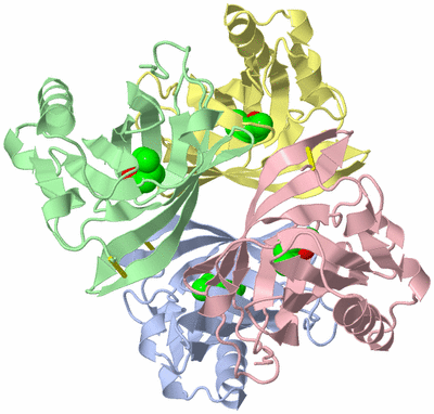 Image Asym./Biol. Unit