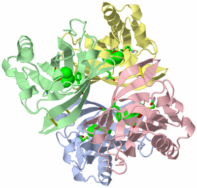 Image Asym./Biol. Unit - sites