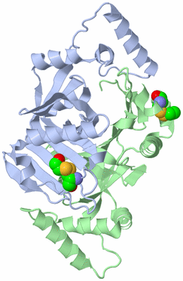 Image Asym./Biol. Unit