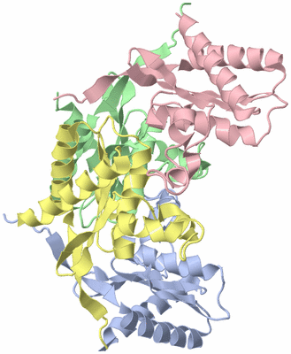 Image Asymmetric Unit