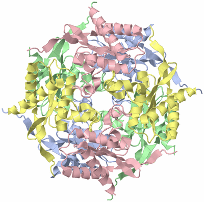 Image Biological Unit 1