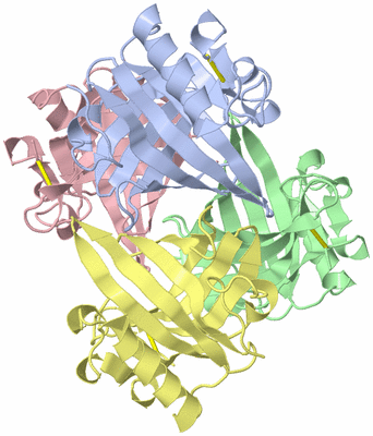 Image Asym./Biol. Unit